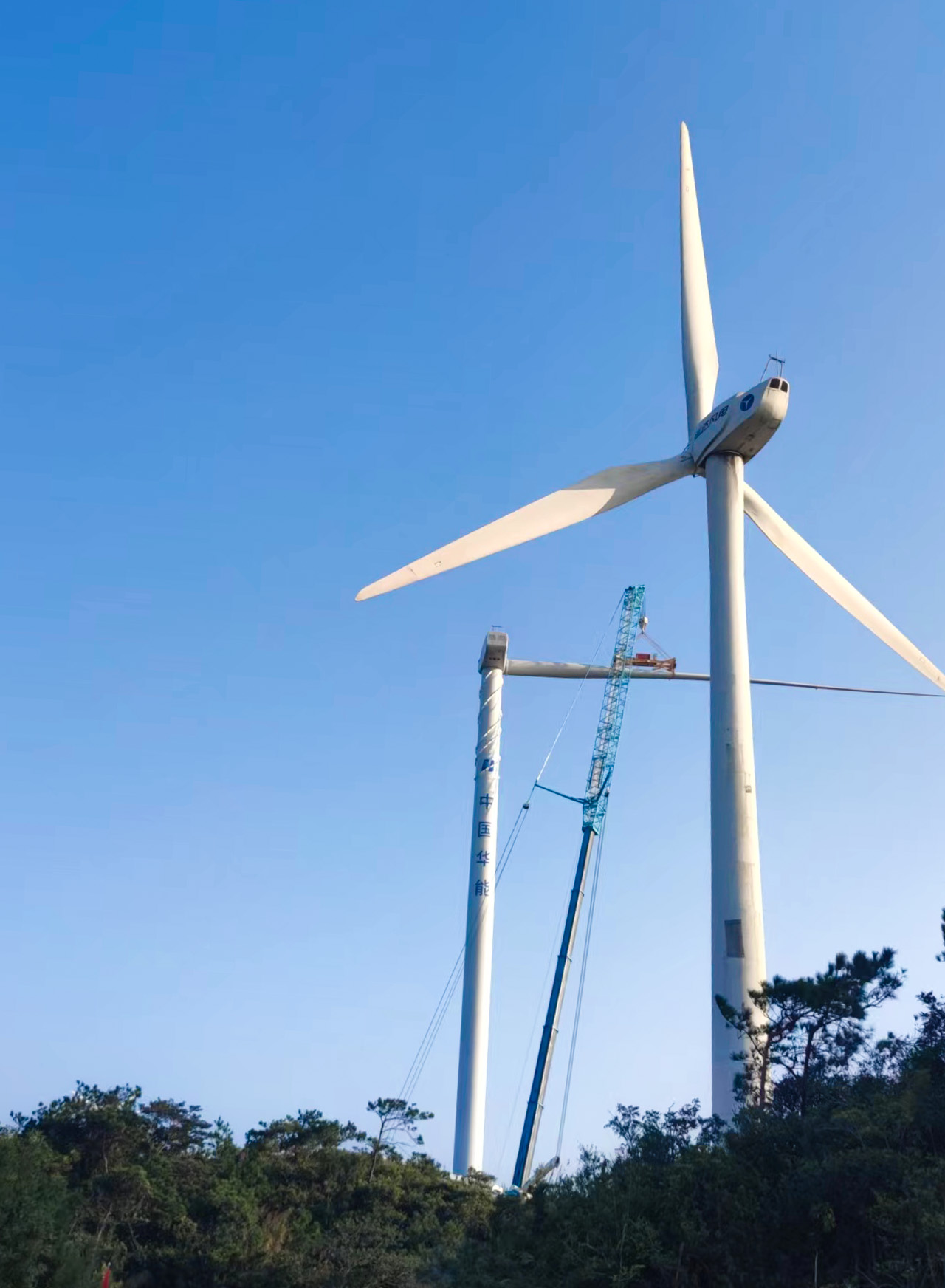 304am永利集团·(中国)有限公司官网